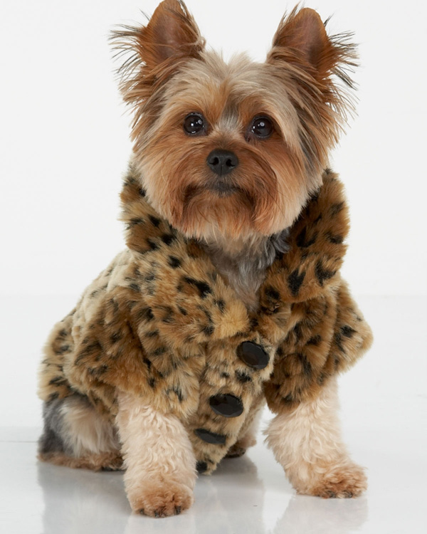 fashion fur dog coat, winter pet clothes