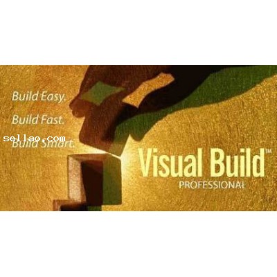 Visual Build Professional 8.2 activation version