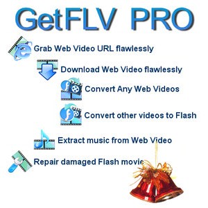 GetFLV Pro 9.1.3.5