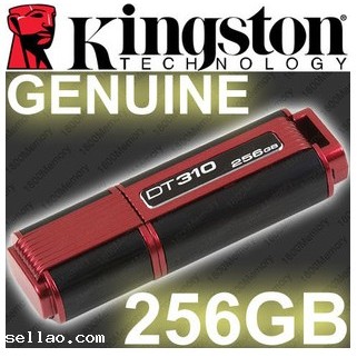 Sell New Kingston DT310 256GB USB2.0 Flash Memory Drive