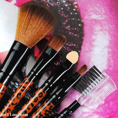 New Mini Exquisite 5 PCS New Pro Makeup Brush Set Eyeshadow Powder Cosmetic Tool Kit With Case
