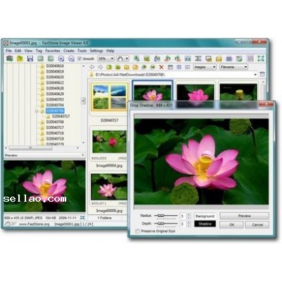 FastStone Image Viewer 4.8
