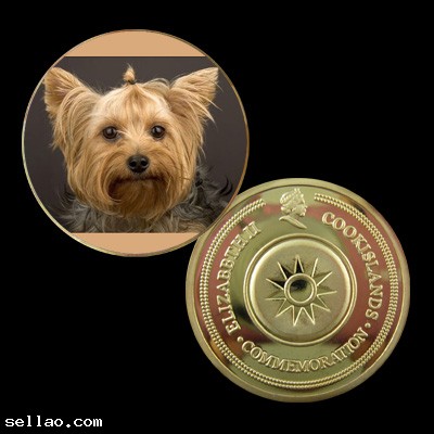 Dog 24K Gold Plated Colorized Printed Coin