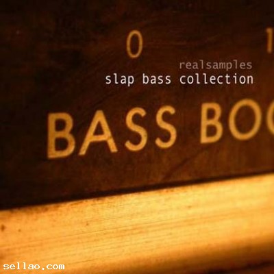 Realsamples Slap Bass Collection