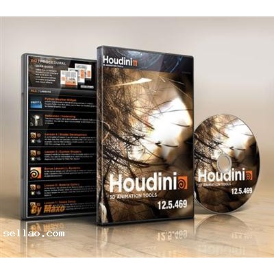 SideFX Houdini FX v12.5.469