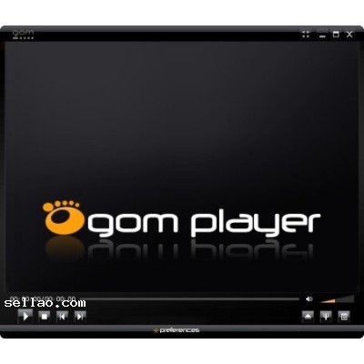 GOM Player 2.2.53 Build 5169
