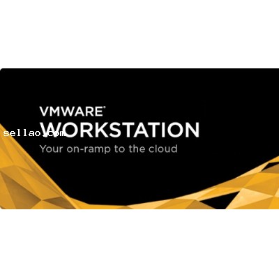Vmware Workstation v10 activation version