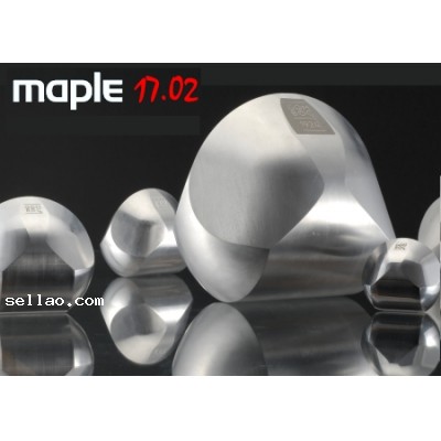 Maplesoft Maple 17.02 full version
