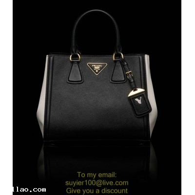 2013 Prada handbag bag authentic new wave Magnet
