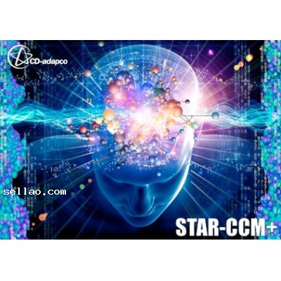 CD-Adapco Star CCM+ 8.04 | Fluid Analysis System