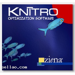 Ziena Optimization KNITRO 9.0