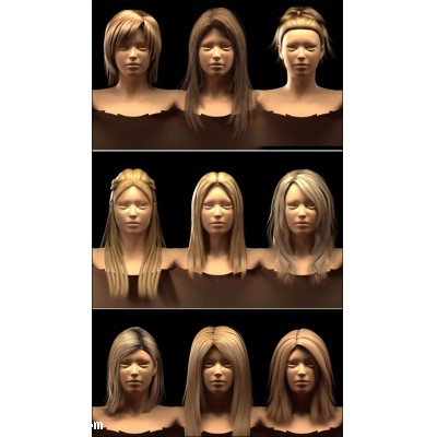 3D models - 21 Daz Blond Wigs Max2010 Vray & Obj