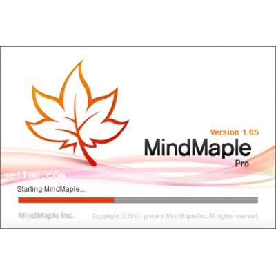 MindMaple Professional 1.65.1.183