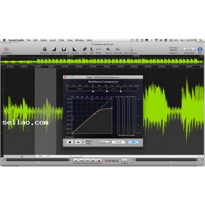 Felt Tip Sound Studio 4.6.11 for Mac OS X