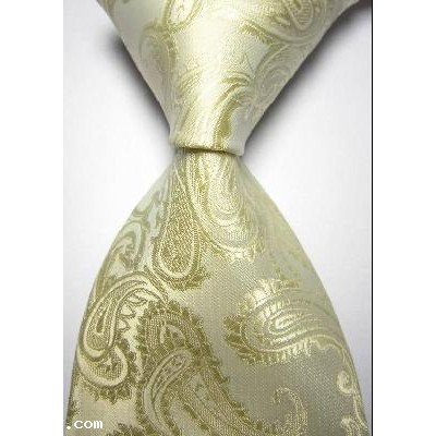 New Ivory Paisley JACQUARD WOVEN Men's Tie Necktie