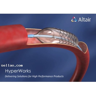 Altair HyperWorks 13.0