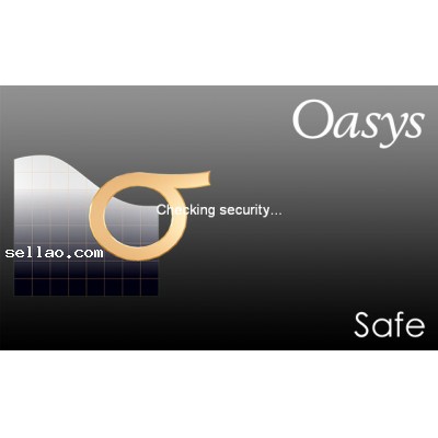Oasys Safe 19.0 SP5 build 44