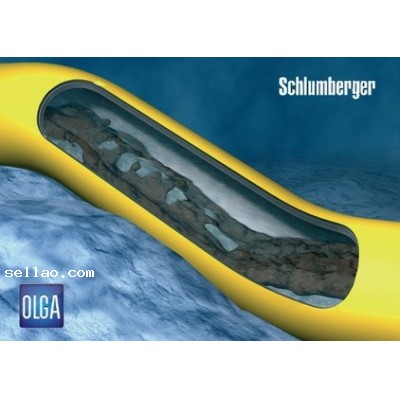 Schlumberger OLGA 2014.1