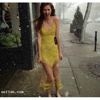 Hot sale 2015 new arrival For love and lemons syle fan-shaped lace mesh sexy v neck women long dress