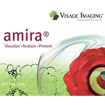 Visage Imaging Amira v5.4.3
