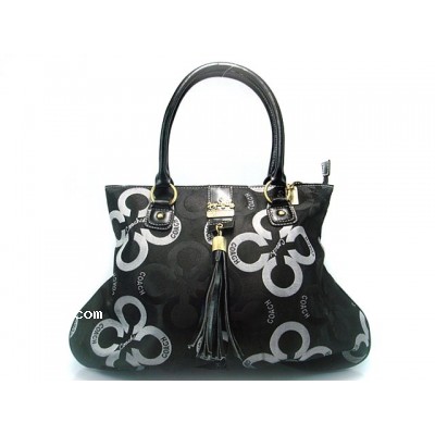 coach bags new style and high fashion bags B1