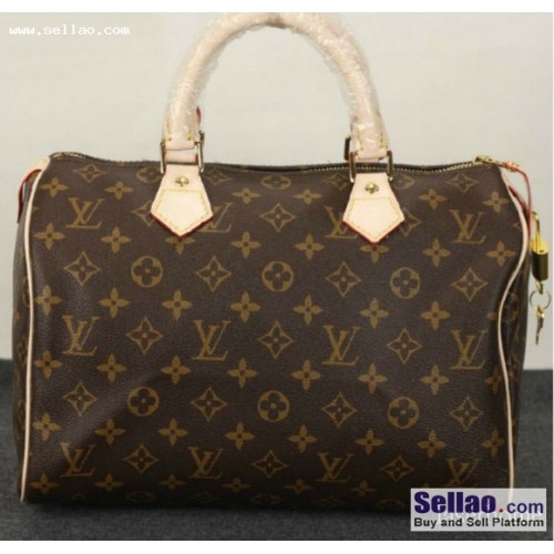 leather Louis Vuittons handbag bag