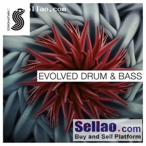 Samplephonics Evolved Drum and Bass