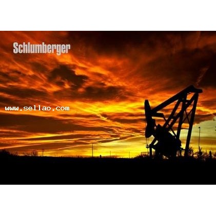 Schlumberger Petrel 2015.5
