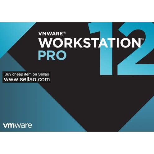 VMware Workstation Pro Lite 12.5.3 Build 5115892