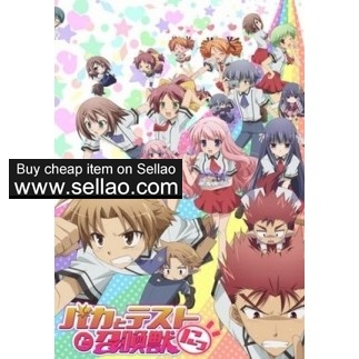Baka to Test to Shoukanjuu Ni! Sub 2011 Anime