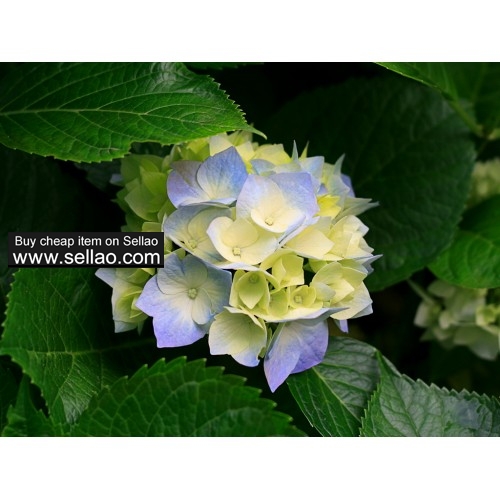 TEST 04